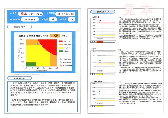LOX-index結果報告書(サンプル)